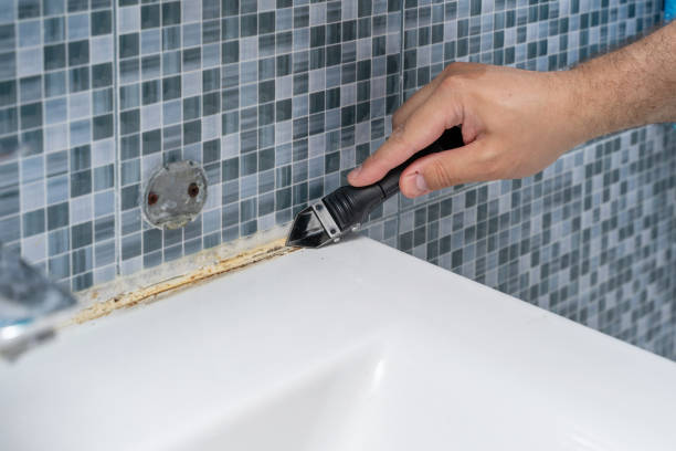Best Mold Testing and Inspection Services in Rochester, WI