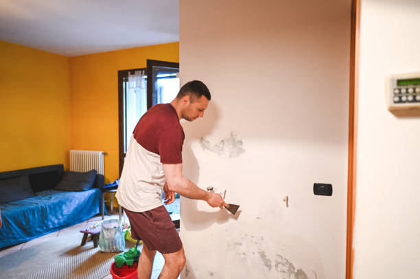 Reliable Rochester, WI Mold Remediation Solutions